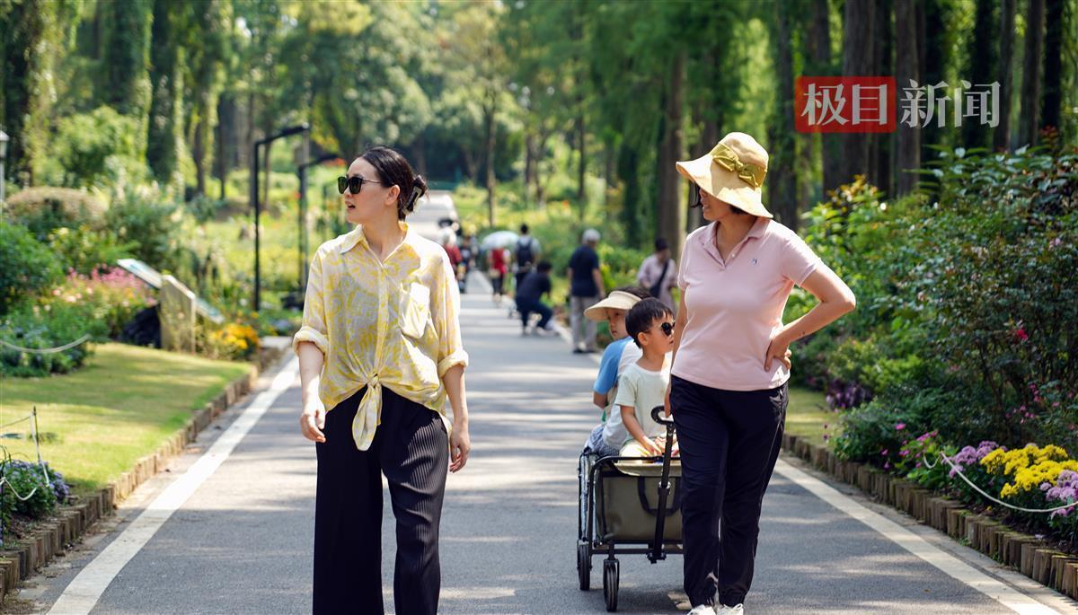 以小博大彩金
